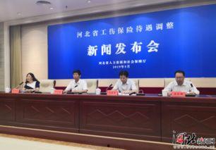 河北省保险新闻最新爆料,揭秘行业热点与监管新规