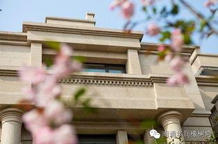 南通华润爆料最新消息,揭秘项目进展与市场动态